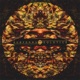 Solstice Single