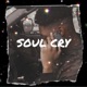 Soul Cry Single