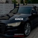 IGNOR Single