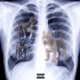 Canine Single