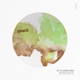 Chameleons Single