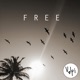 Free Radio Edit Demo Single