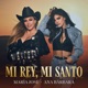 Mi Rey Mi Santo Single