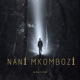 Nani Mkombozi Single