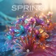 Spring Rework Single