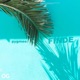 Finde Single