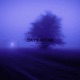 Days Gone Slowed Reverb Single