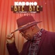 Bye Bye feat Professor Danger Single