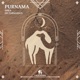 Purnama Dr Parnassus Flight Mode Remix Single