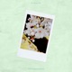 All About You Single