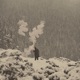 1 cigarette Single
