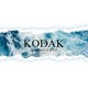 Kodak Single