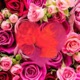My Valentine Single