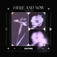 Here and Now feat Jacob Lauing Single