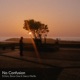 No Confusion Single