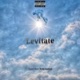 Levitate feat Robb Carloss Single