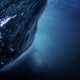 Bioluminescence feat Van Der Wiese Single