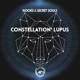 Constellation Lupus