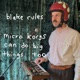 Micro Korgs Can Do Big Things Too