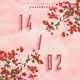 14 02 Single