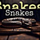 Snakes feat JayKhasoDream Single