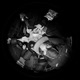 See Us Remix feat Carz Single