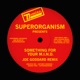 Something for Your M I N D Joe Goddard Remix Single