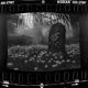 GHOST TOWN Single