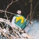 Cold Nights feat Dub Easy Single