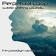 Subtle Shifting Sounds The Paradigm Series Vol 1