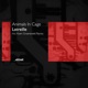 Latreille Single