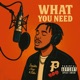 What You Need feat Ace Benjii Single