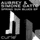 Spring Sun Blues Single