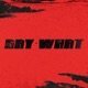 SAY WHAT Single