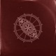 Fight Circle Single