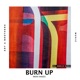 Burn Up Remixes Single
