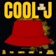 Cool J Shunz YXL Ayo Zaneita ZSB Peaz Remix Single