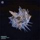 Frost feat Rawwb Single
