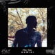 Other Side of the GEMINI Single