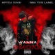 I Wanna Smoke Single