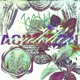 acidclan Single