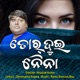 Tor Dui Naina Single