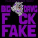 F k Fake Single