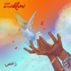 Zakhmi Single