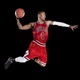 Gatecode DRose Single