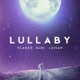 Lullaby feat Luisah Single