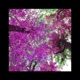 Seasontime Blues Single