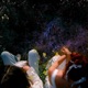 Midnight Bloom Single