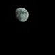 Moonlight Snippet Single
