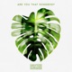 Are You That Somebody Single